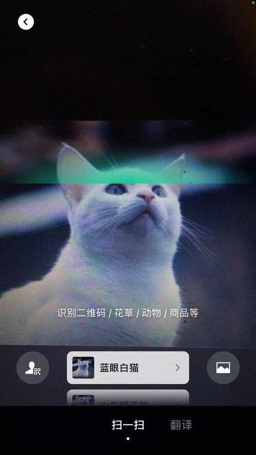 爆料江仙视频,揭秘背后惊人真相 第2张 爆料江仙视频,揭秘背后惊人真相 第2张