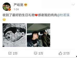 老杨最新爆料消息视频在线观看,最新视频揭秘事件真相，在线观看不容错过！