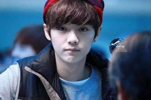 娱乐圈爆料鹿晗身份信息,鹿晗身份信息大曝光! 第3张 娱乐圈爆料鹿晗身份信息,鹿晗身份信息大曝光! 第3张